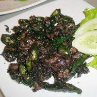 Kapok Lombok Ijo