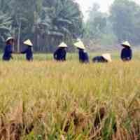 Pengusaha Arab Tanam Duit di Jawa Barat