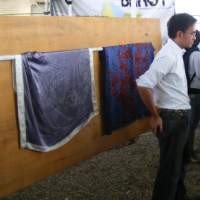 Unesco Anugerahi Award of Excellence untuk Batik Fractal