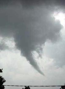 Puting Beliung Robohkan Pohon Mangga, 1 Tewas