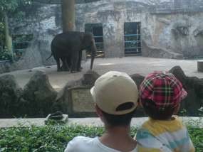 Ragunan Masih Dipadati Pengunjung