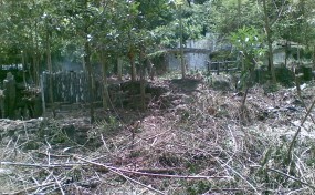 Buat Perda Khusus untuk Baksil  