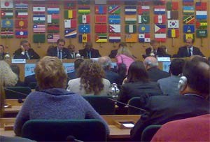 FAO Lawan Kelaparan dengan Sepakbola