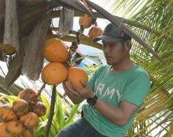 Perjalanan Citilink Sempat Membuat Tidak Nyaman