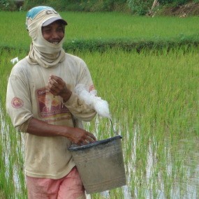 Harga Pupuk Anjlok Drastis