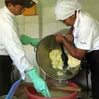Keju Berkelas Dunia dari Banyuwangi