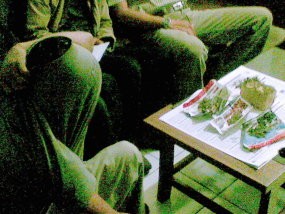 Edarkan Ganja, Tukang Kredit Diringkus Polisi