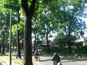Sepenggal Kisah FO di Jalan Otten