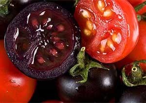 Ilmuwan Belanda Bikin Tomat Ungu, Lebih Sehat