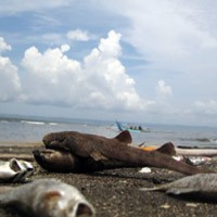 Nelayan Banyuwangi Kecam Penambangan Emas