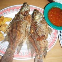 Kriuk.. kriuk.. Ikan Nila Goreng