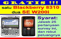 Ikut Survey, Rebut BlackBerry!