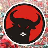 Dukung Khofifah, Pro Mega Merahkan Jember