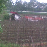Berteduh di Tengah Sawah, Aan Tewas Tersambar Petir