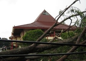 2 Mobil Ringsek Tertimpa Pohon 