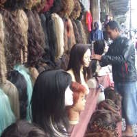 Berburu Rambut Palsu di Trotoar Jalan
