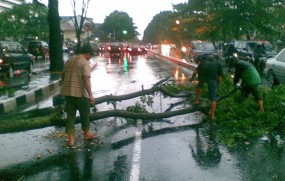 Dahan 6 Meter Patah, Pasopati Tersendat