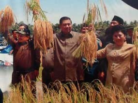 SBY Panen Padi Bernas Prima