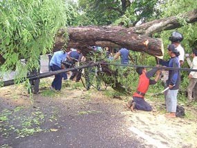 Puting Beliung Mengamuk di Magetan