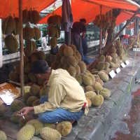 Murah dan Lezat Durian Lokal