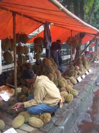 Murah dan Lezat Durian Lokal