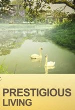 Pengelola Alam Sutera Bantah Adanya Teror Ular