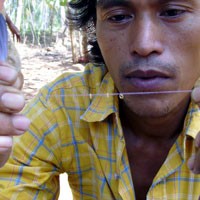 Aneh, Usai Diguyur Hujan, Emas Muncul di Lahan Warga