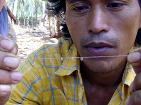 Aneh, Usai Diguyur Hujan, Emas Muncul di Lahan Warga