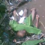 Identitas Mayat Pria Bugil Sudah Diketahui