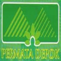 Harapan Evaluasi pada Pengembang Permata Depok