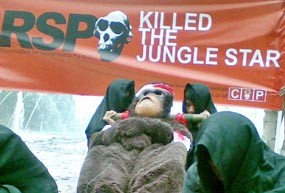 Orang Utan Mati Ditandu di Bundaran HI