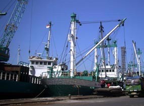 Diduga Ngantuk, Buruh Pelabuhan Tewas Tercebur Laut