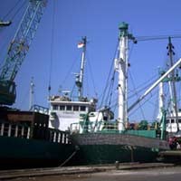 Diduga Ngantuk, Buruh Pelabuhan Tewas Tercebur Laut