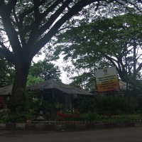 Taman Cibeunying, Jalur Hijau yang Berubah Fungsi
