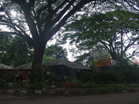 Taman Cibeunying, Jalur Hijau yang Berubah Fungsi