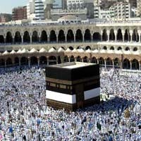 Pemondokan Jauh, 600 Bus Antar-Jemput Jamaah ke Masjidil Haram