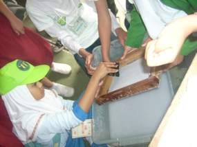 Ecoschool, Lets Prepare Our Green World!