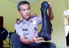 Warga Kembali Temukan 21 Serpihan