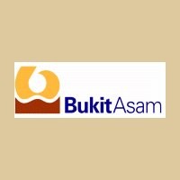 PTBA Negosiasi Ulang Harga Jual Listrik ke PLN