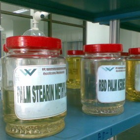  Wilmar Bangun Pabrik Biodiesel di Gresik Rp 1,8 Triliun