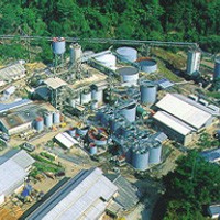 Harga Anjlok, Antam Kurangi Produksi Feronikel di 2009