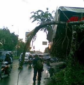 3 Pohon Tumbang, Jl TB Simatupang Merayap