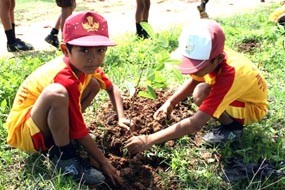 Sehari, Warga Tuban Tanam 1,5 Juta Pohon