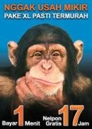 XL Tak Mendengarkan Suara Konsumen dari Taizhong