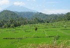 Lindungi Petani 