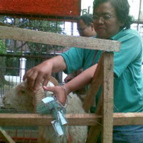 25 Ribu Hewan Kurban di Bandung Akan Dimonitor