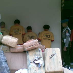 Polisi Amankan 512 Kilogram Ganja dari 6 Tersangka