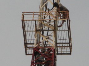 Pemanjat Tower di Solo Akhirnya Tewas Setelah Terjun Bebas