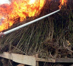 Polri Temukan Ladang Ganja Seluas 30 Hektar