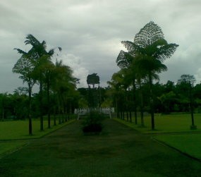  Melihat  Kota Emas di Tengah Hutan Papua